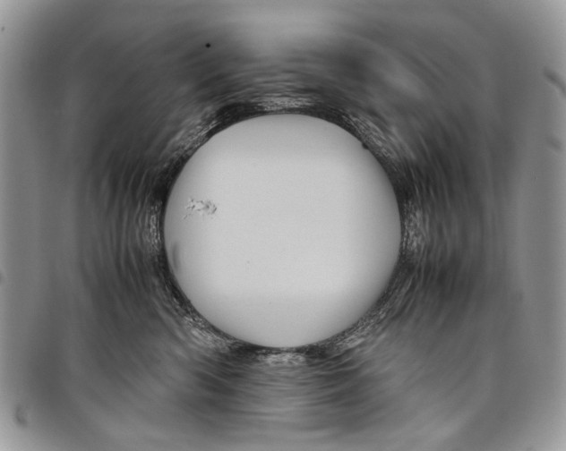 X0000097780426200803281705