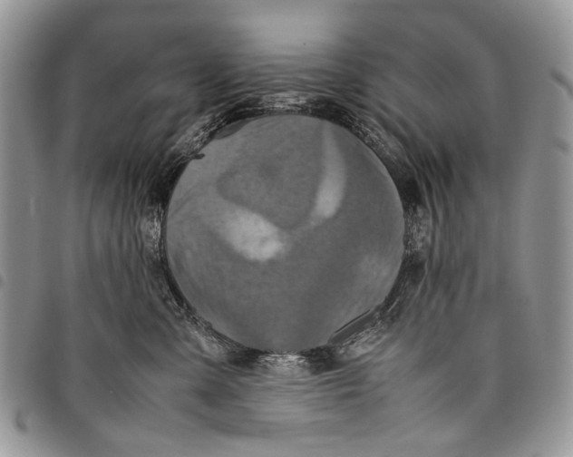 X0000097780427200803281705