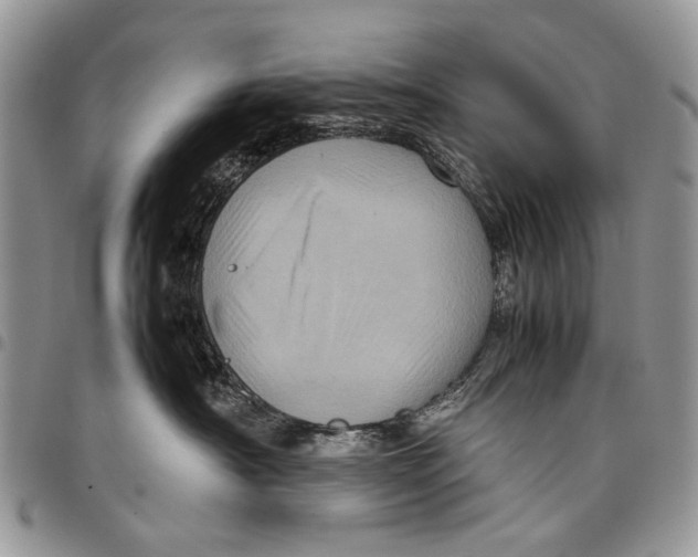 X0000097780430200803281705