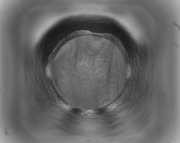 X0000097780431200803281705