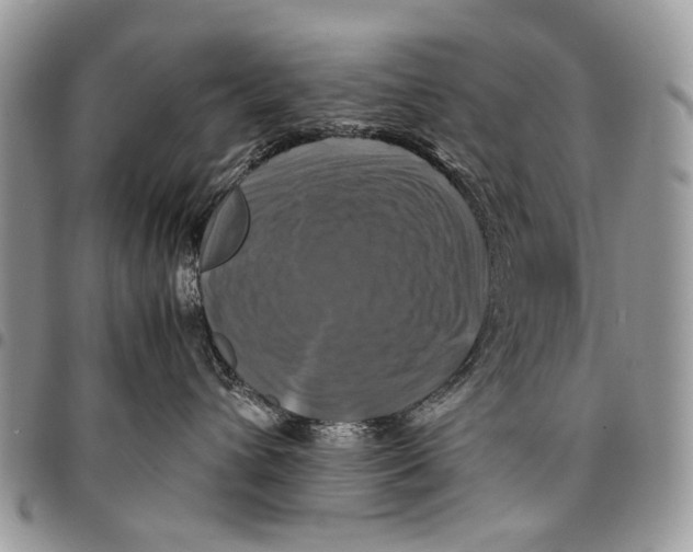 X0000097780432200803281705