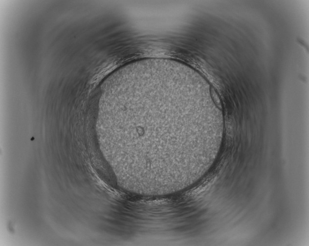 X0000097780433200803281705