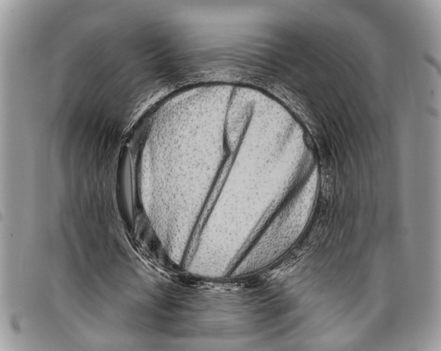 X0000097780434200803281705