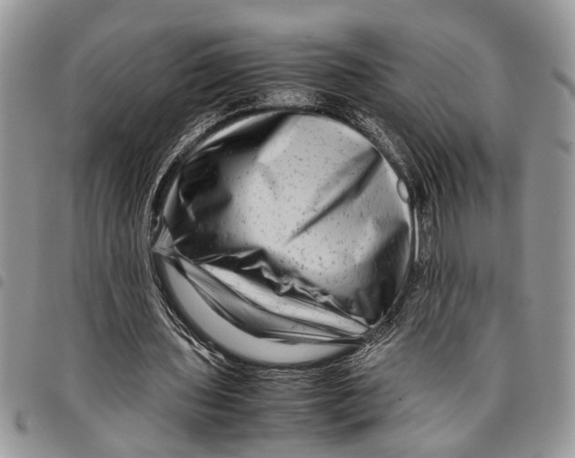 X0000097780435200803281705