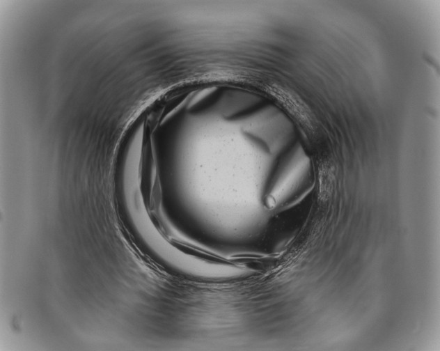 X0000097780436200803281705