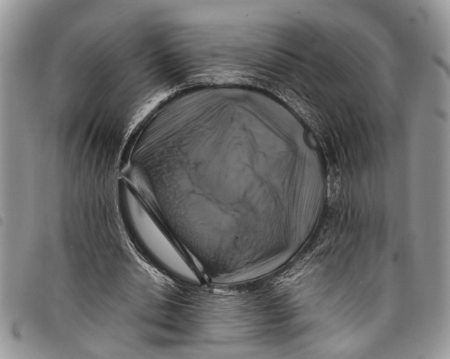 X0000097780438200803281705