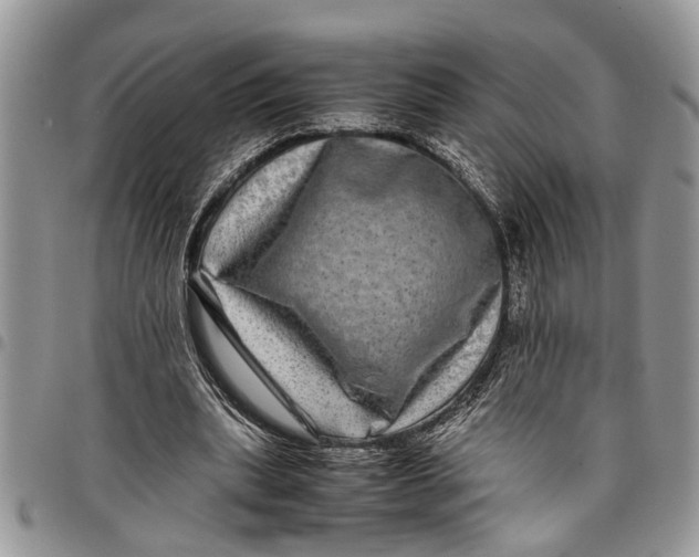 X0000097780439200803281705