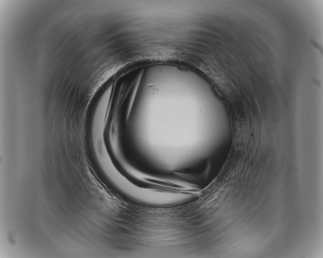 X0000097780440200803281705