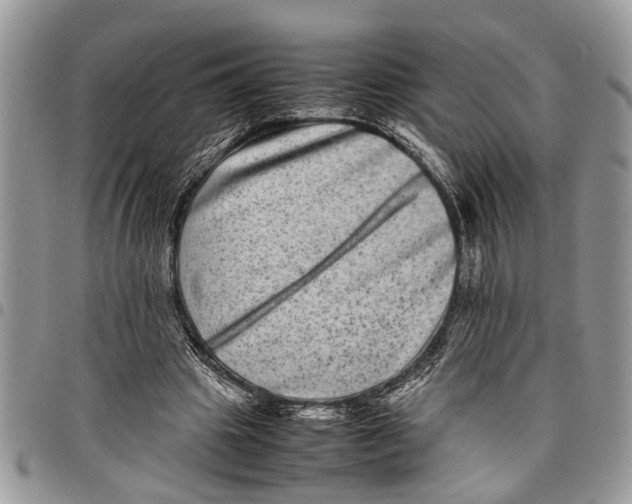 X0000097780441200803281705