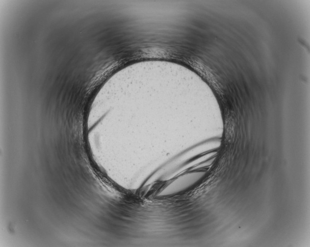 X0000097780442200803281705