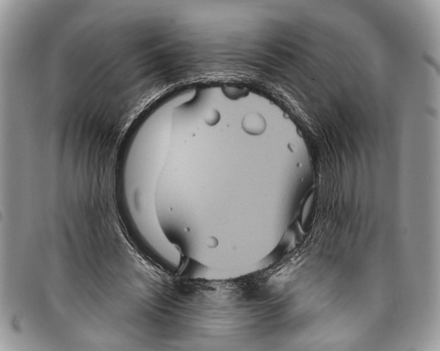 X0000097780444200803281705