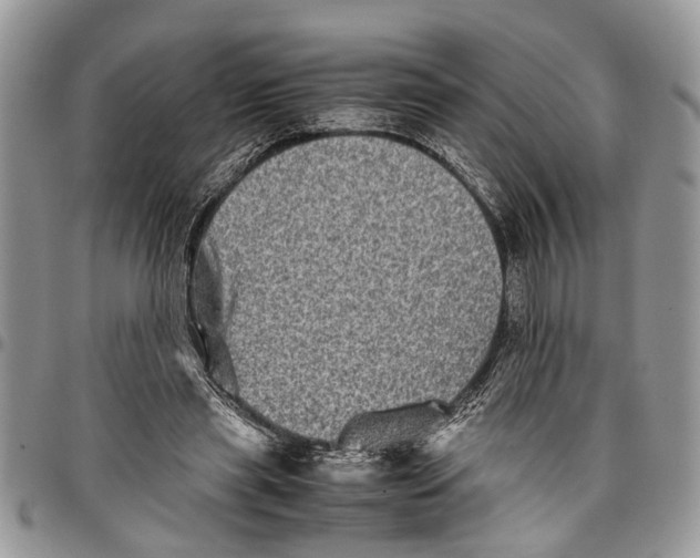 X0000097780445200803281705