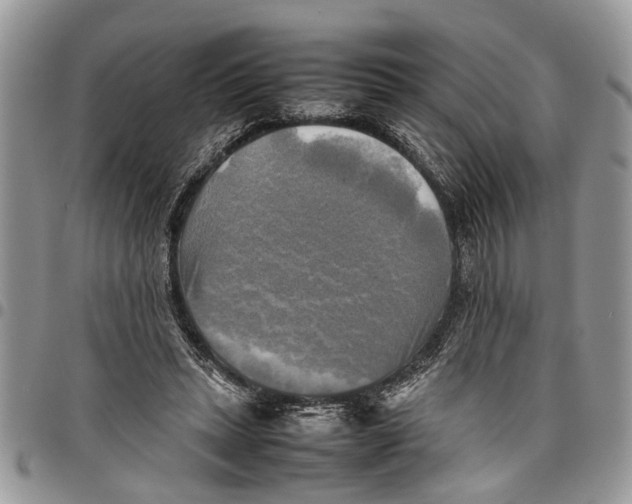 X0000097780447200803281705