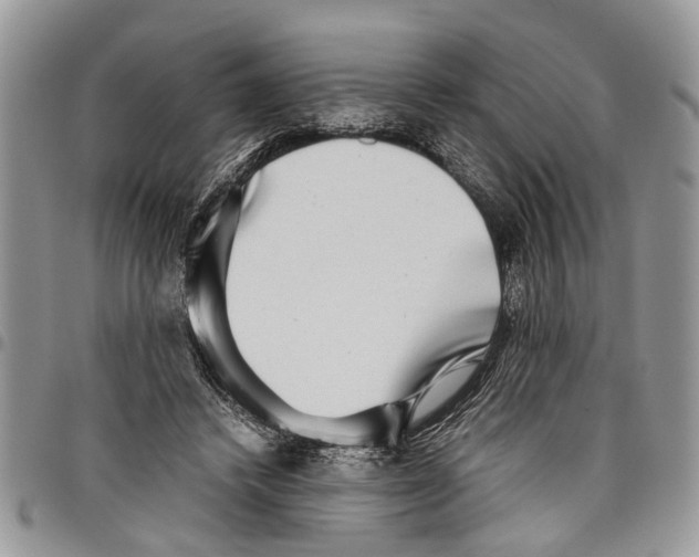 X0000097780448200803281705