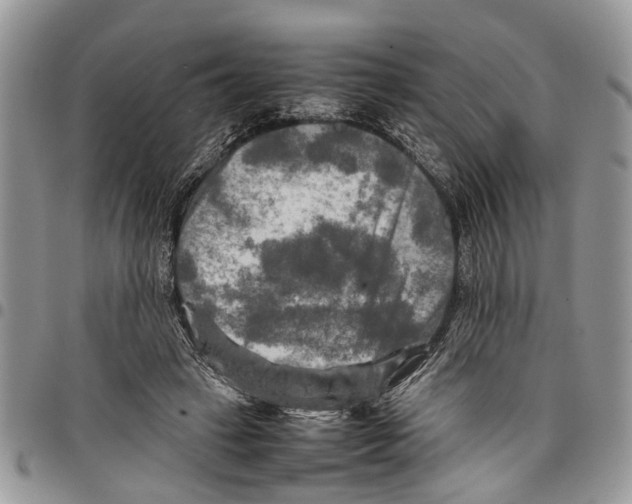 X0000097780449200803281705