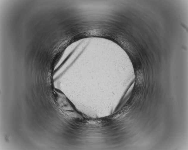 X0000097780450200803281705