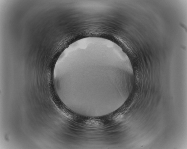 X0000097780451200803281705