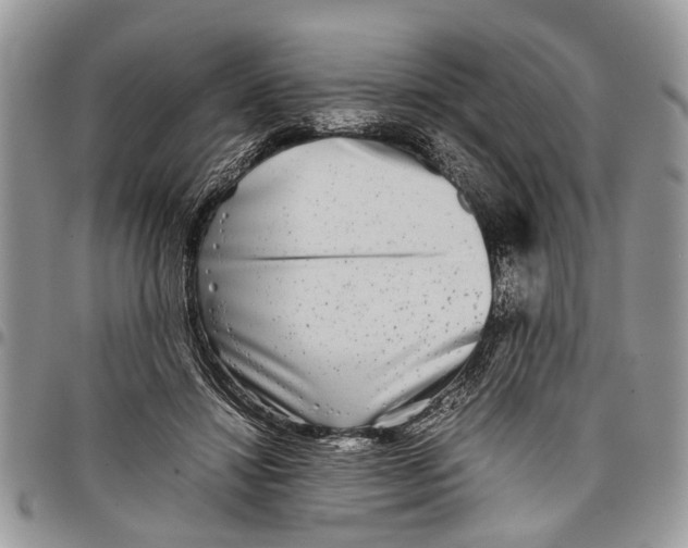 X0000097780452200803281705