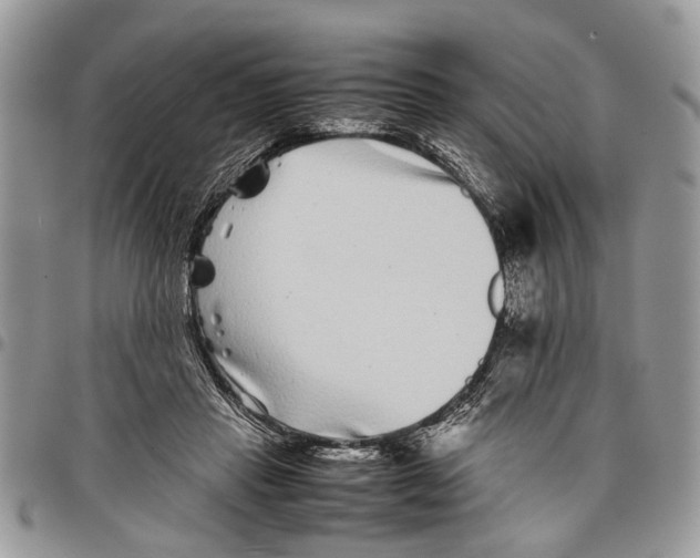 X0000097780453200803281705