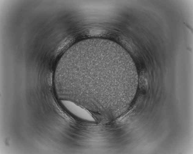 X0000097780454200803281705