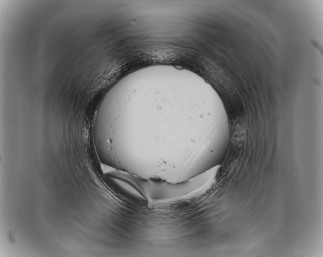 X0000097780456200803281705