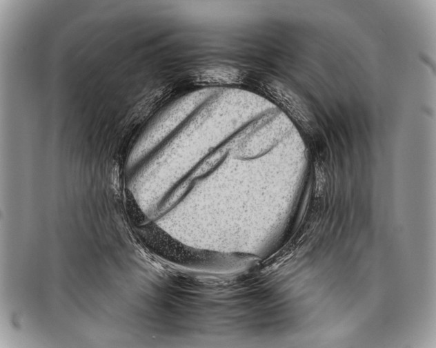 X0000097780457200803281705