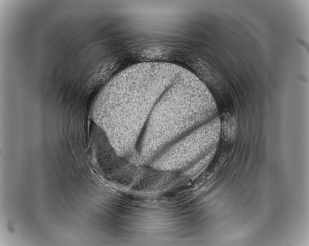 X0000097780458200803281705