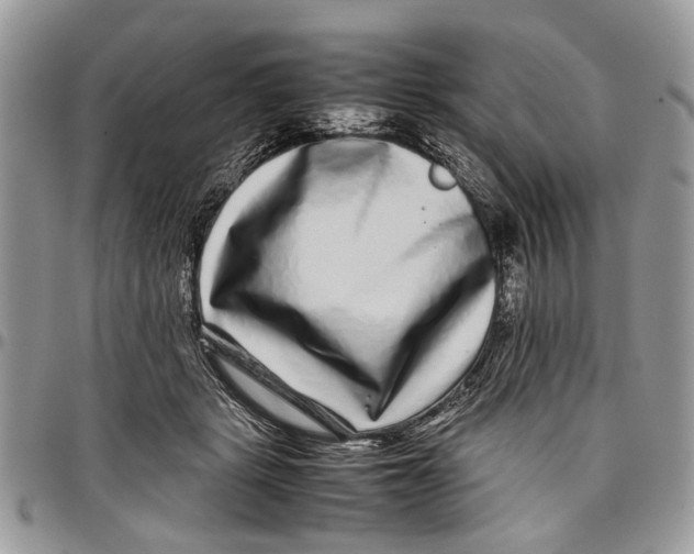 X0000097780461200803281705