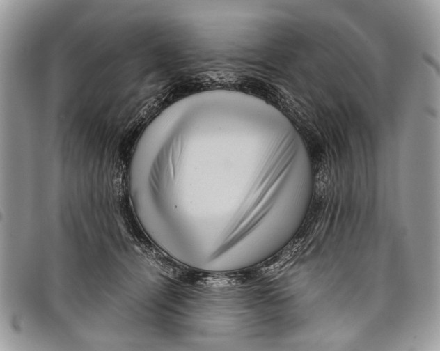 X0000097780464200803281705