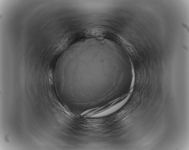 X0000097780465200803281705