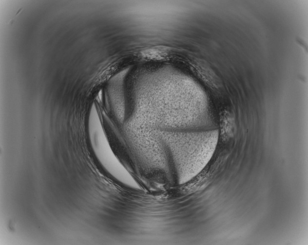 X0000097780466200803281705