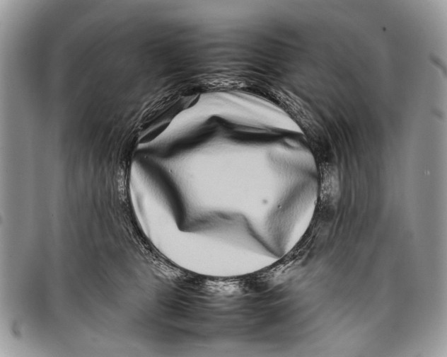 X0000097780469200803281705