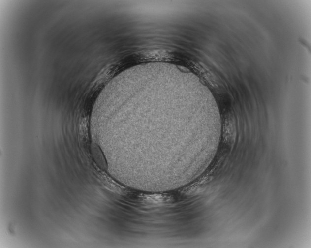 X0000097780473200803281705