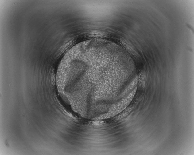 X0000097780474200803281705