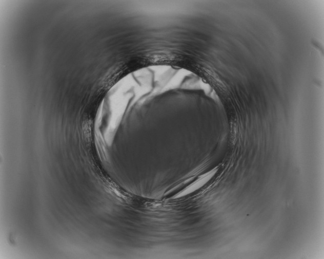 X0000097780475200803281705