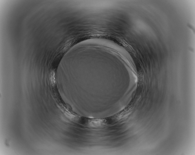 X0000097780479200803281705