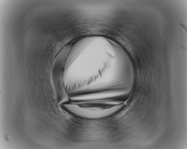 X0000097780481200803281705