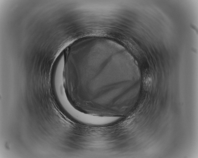 X0000097780484200803281705