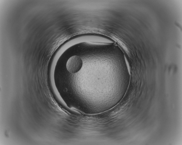 X0000097780485200803281705