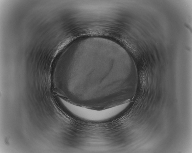 X0000097780488200803281705