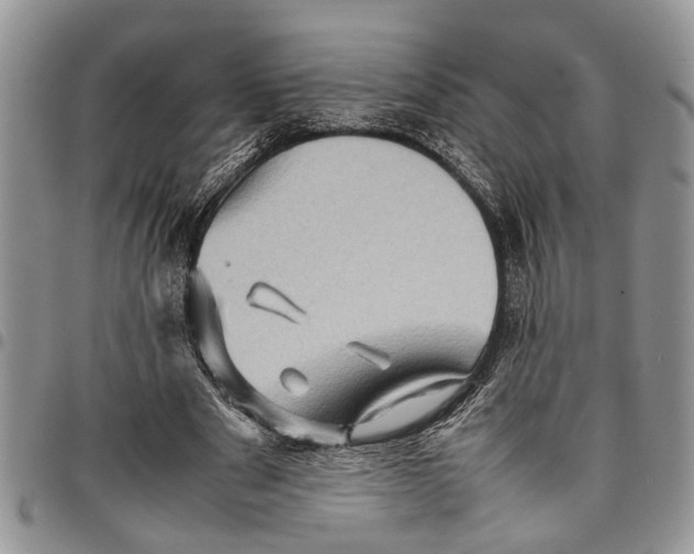 X0000097780489200803281705