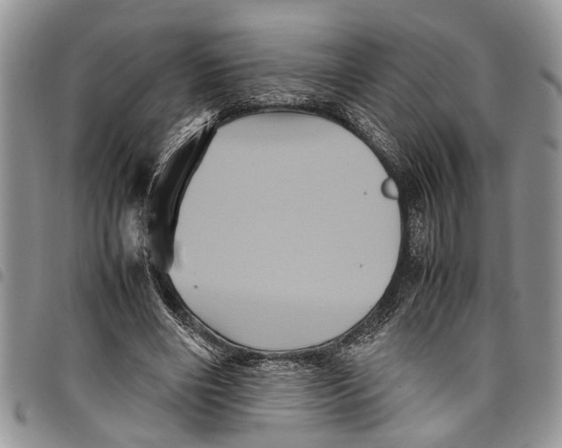 X0000097780490200803281705