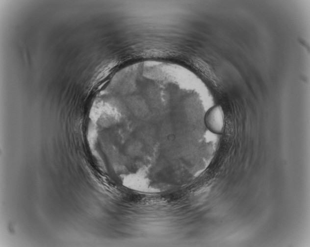 X0000097780491200803281705