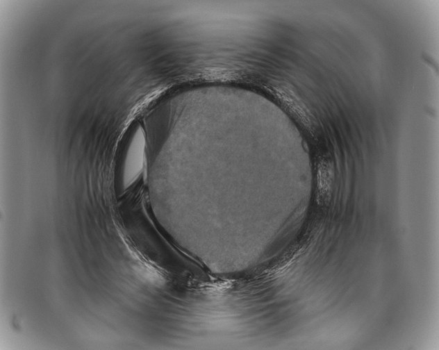 X0000097780492200803281705