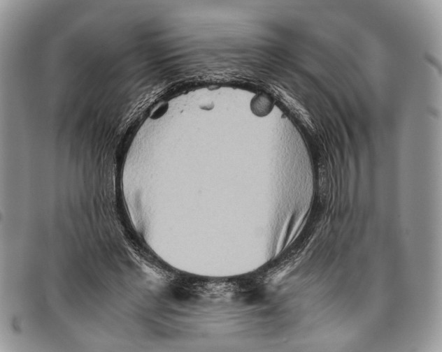 X0000097780493200803281705