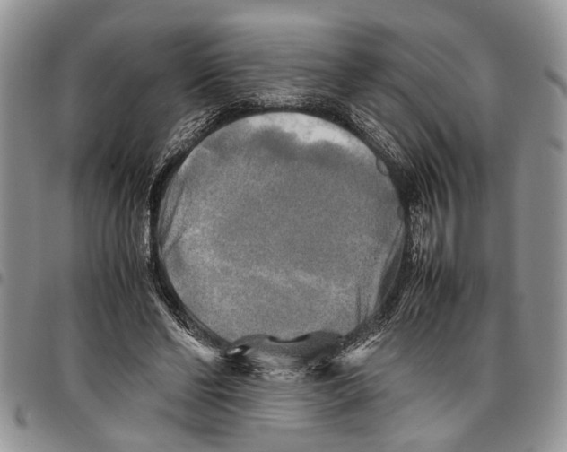 X0000097780494200803281705