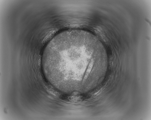 X0000097780495200803281705