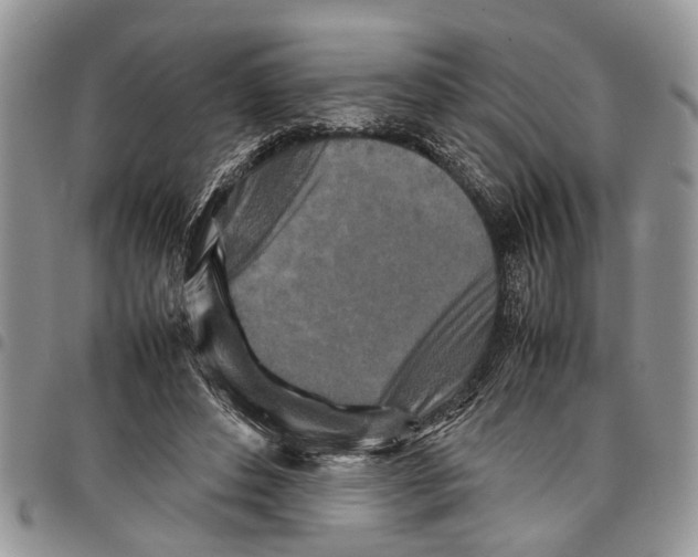 X0000097780496200803281705