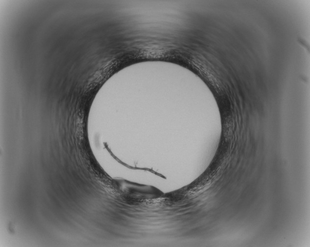 X0000097780497200803281704