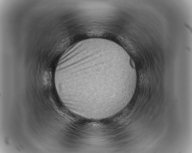 X0000097780498200803281704